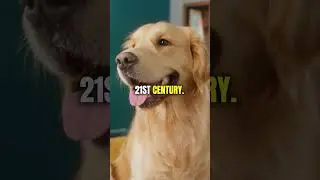 The New Golden Goose of 2024... #dogbusiness #pooperscooperbusiness #sidehustleideas #businessideas