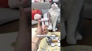 Pet Grooming Comb, Link is on bio or copy:www.niopets.com
