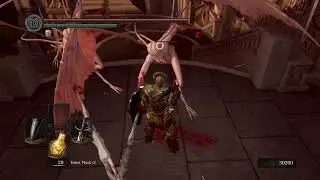 Dark Souls - Bat Wing Demon (Imps)