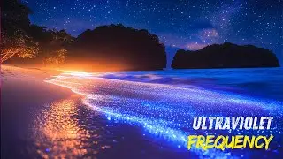 🌌 ULTRAVIOLET FREQUENCY | 80s Synth-Pop (Original New Wave Music)