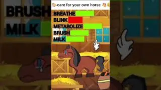 It&rsquo;s like you&rsquo;ve never cared for a horse before/care for your own horse AD
