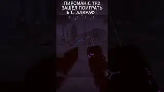 ПИРОМАН С TF2 ЗАШЕЛ В СК ПОИГРАТЬ #stalcraft