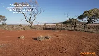 Waltumba Camping Area - Lake Gairdner National Park - South Australia - CampByMe - Episode 74