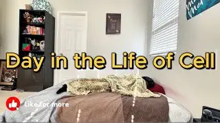 This Is How I Balance Fitness, Work &Fun |Day in the Life of cell 