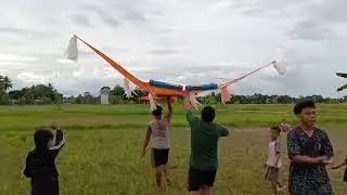 Menaikan layang layang besar (dandang)