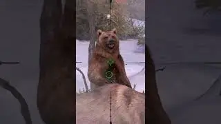 Brown Bear, 🐻 , #brownbear #bear #snow #gaming #castlecloop