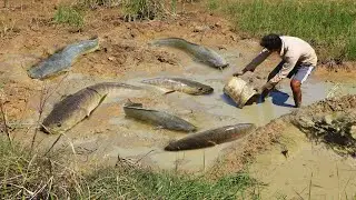 Top amazing 100 hour Search for fish in a wonderful underground mud with . tyriq 1256