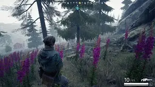 Rare vigor w