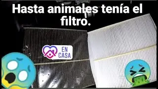 CAMBIO DE FILTRO DE CABINA (IBIZA 2018)