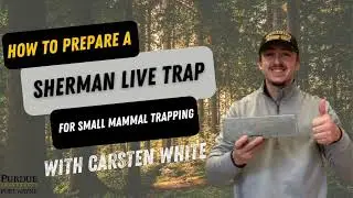 How to Prepare and Set a Sherman Live Trap for Small Mammal Trapping