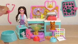Brilliant BARBIE Chelsea Pet Vet Playset (Video)