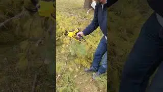 Testing the NEW Dewalt Power Pruner 20v #shorts #powertools #dewalt