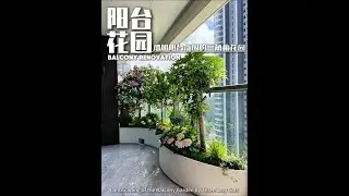 Creating a Triangle Plum Garden to Enhance Balcony Atmosphere