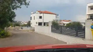 rogoznica lozica