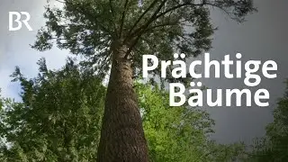 Dendrologischer Garten - Ein ganz besonderer Park in Bad Berneck | Wir in Bayern | BR