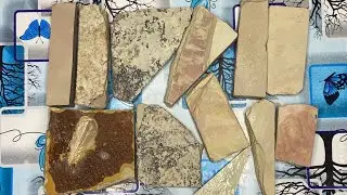 White crunchy and wet slate items scraping ❤️🥰😍