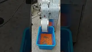 Pumpkin dicing machine&nbsp;| Pumpkin Cutting Machine&nbsp;| Pumpkin slicing machine&nbsp;| pumpkin cutter machine