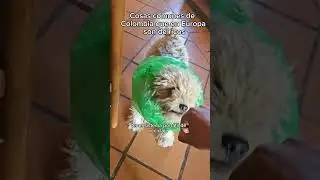 Los lujos que hay en Colombia 😁 #shorts #colombia #humor