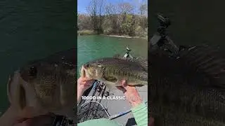 Had to back up a little and throw a jerkbait to catch this one. #jerkbait #luckycraft #bassfishing