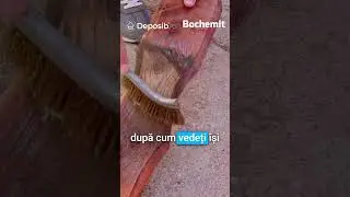 🔥 Lemnul arde sau rezistă? Test la BIFFE SIM 2024 cu solutia ignifugare lemn Bochemit Antiflash! 🔥