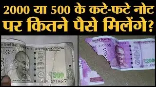 RBI ने बताया, कटे फटे नोट बदलने पर आपको कितने पैसे और कैसे मिलेंगे? l The Lallantop