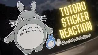 Unexpected Reaction to My New Totoro Car Stickers