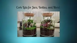 Cork Lids for Jars & Bottles &ndash; The Perfect Eco-Friendly Seal!