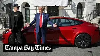 How the Donald Trump, Elon Musk and DOGE cuts are hitting Tampa Bay