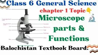 Microscope 🔬 / Parts & Functions of microscope / Class 6 GS Chapter 1 #microscope
