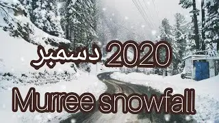 Murree weather today | Murree Snowfall | Murree today | Snowfall in Murree 2020 | Pakistan snowfall