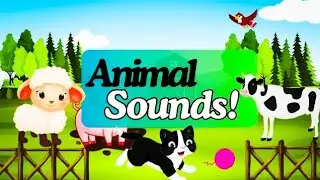 Learn Animal Sounds | Animal Recognition Song For Toddlers