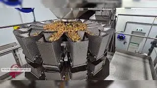 Multihead Weigher - Shellfish