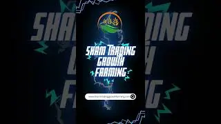 SHAM TRADING ONLINE PAISA KAMAY TRADING SE