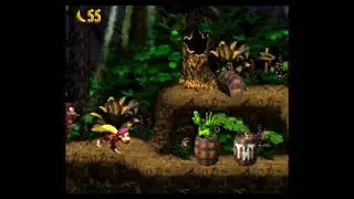 [SNES] Donkey Kong Country 2: Diddy's Kong Quest Walkthrough [27] - Ghostly Grove 100%