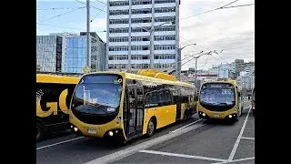 Wellington Trolleybus Scenes - 2016 -- Part 1 of 2, Downtown Area