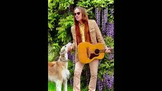 David Wayne Reeves and The Republic - Solitary Man (Neil Diamond Cover)