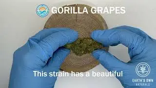 Gorilla Grapes - Papa Joe's Organics