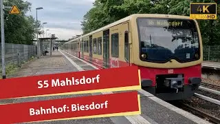 (4K) S-Bahn Berlin: S5 nach Mahlsdorf Einfahrt Biesdorf (Kurzzug)