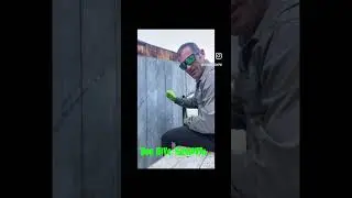 Bees & Bee Hive Removal Service | Versa-Tech&reg; Pest Control | LA County