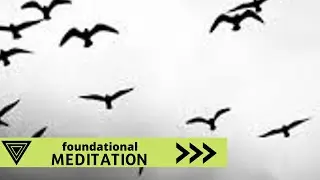 Foundational Meditation