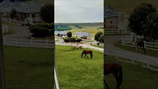 Dunkeld Country & Equestrian Estate