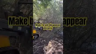 Mini Skid Forestry Mulcher on Huayee LHY680 #huayee #kubota #bobcat #derette