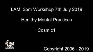 LAM Healthy Mental Practices workshop July 2019