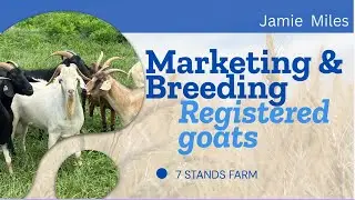 How to sell more goats and make more Money/ how to market goats #goat #makingmoney #diy #farmlife