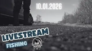 NSFishingNerijus is live in Ireland Pike fishig In river.Lydeku zvejyba upeje!