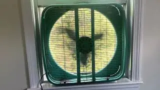 Eddie's Epic Vintage Fan Showcase: The Massive Dominion Box Fan Takes Center Stage! | Cartier Ed
