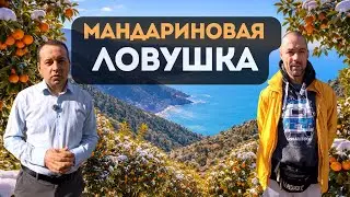 Строители против мошенников. Сладкие цены и кислые последствия. Реальная себестоимость строительства