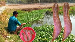 SA Fishing TV | Fishing with hook in village | fishing videos | Traditional fishing video