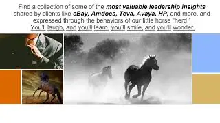 Instinctive Leadership: The Philosophy of 