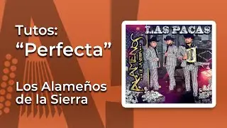 Tutorial Perfecta Los Alameños de la Sierra